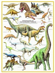 Eurographics Dinosaurier des Jura - 1000 Teile