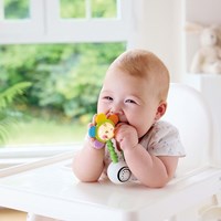 Hape sonajero Shake n Sparkle flor juguete para bebés