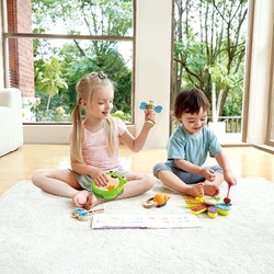Hape juguete musical Nature Band Rhythm Kit para niños