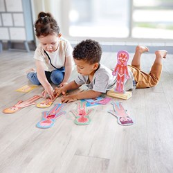 Hape puzzle magnético cuerpo humano juguete educativo niños