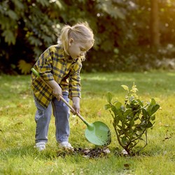 Hape pala de jardín juguete - pala puntiaguda verde para niños desde 4 años