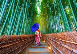 Enjoy Puzzle rompecabezas Asian Woman en el bosque de bambú - 1000 piezas
