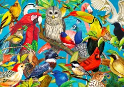 Enjoy Puzzle puzzle Federn über Federn - 1000 piezas diversión de plumas