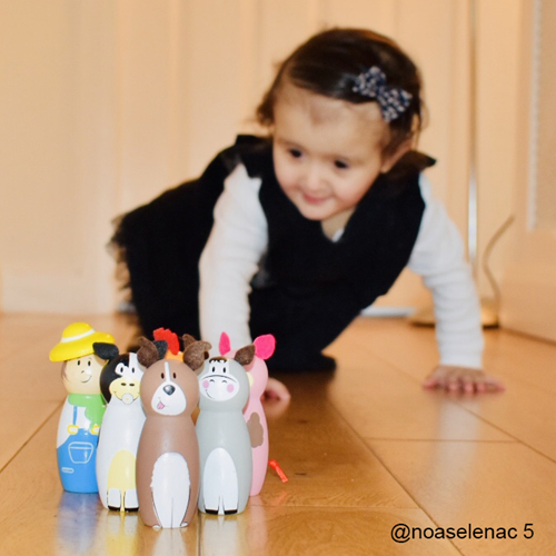 Bigjigs Bolos de Granja-3