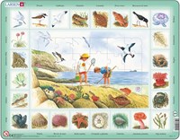 Larsen puzzle - tema mar - italiano - 48 piezas cartón