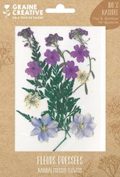 Graine Creative decoración flores secas Purple Meadow 13 piezas