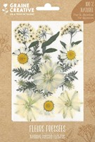 Graine Creative set de flores secas para manualidades - White Meadow 15 piezas decoración