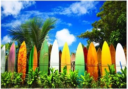 Eurographics Surfer's Paradise Hawaii (1000)