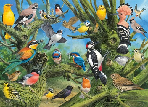 Eurographics Garden Birds - Joahn Francis (1000)