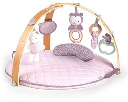 Cozy Spot Reversible Activity Gym- Calla