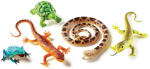 Learning Resources juguetes - Set jumbo de reptiles y anfibios