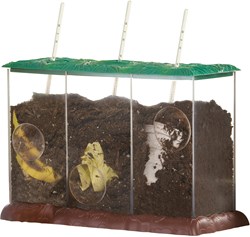 Learning Resources contenedor de compost juguete educativo transparente biología