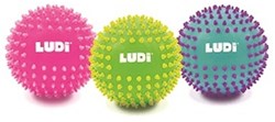 LUDI-DISPLAY 18STUKS / SENSORISCHE BALLEN, ? 15 CM