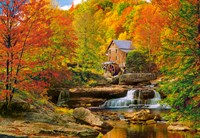 Castorland puzzle otoño - 1000 piezas rompecabezas adultos