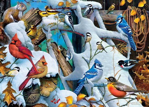 Master Pieces rompecabezas Audubon aves de nieve 1000 piezas diversión