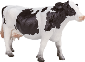 Animales de granja