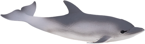 Mojo Juguete Sealife Delfín Común - 387358-3