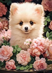 Castorland rompecabezas Pomeranian Puppy in Roses - 300 piezas