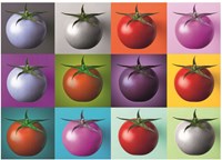 Dino rompecabezas Pop Art Tomates 1000 piezas adultos niños