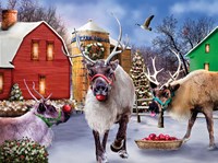 SunsOut puzzle Reindeer Farm - rompecabezas de 1000 piezas