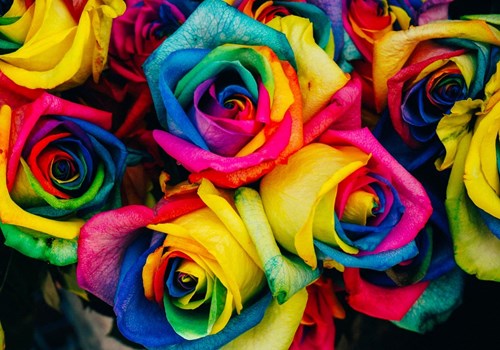 Grafika puzzle rompecabezas Rosenstrauß - 1000 piezas ramo de flores