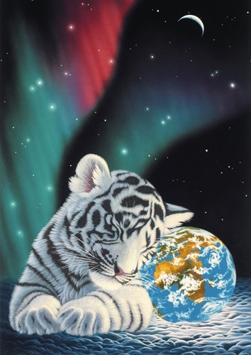 Grafika puzzle Schim Schimmel - Earth Light - rompecabezas 1000 piezas