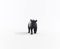 Schleich Wild Life Tapir - Figura de juego - Juguete infantil 14850-2