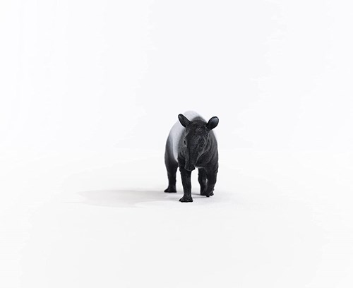 Schleich Wild Life Tapir - Figura de juego - Juguete infantil 14850-2