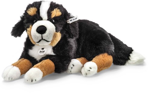 Steiff peluche perro de montaña bernés Senni negro marrón blanco 45 cm-2