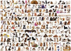 Eurographics puzzle perros animales - rompecabezas 1000 piezas