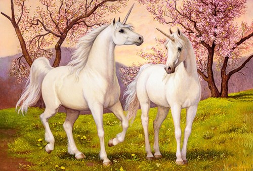 Castorland puzzle amor unicornio - 1000 piezas rompecabezas