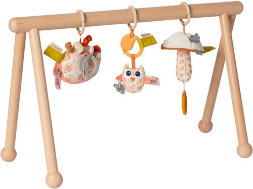 Van DIjk Toys_Babygym_03