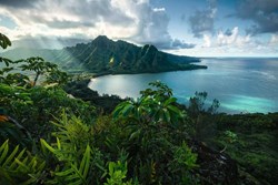 Ravensburger View of Hawaii -  Teile