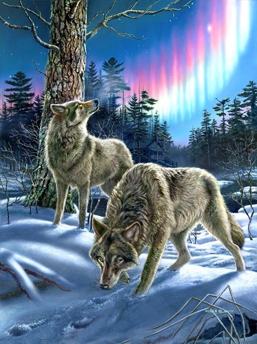 SunsOut puzzle Lobos y luces del norte - puzzle de 1000 piezas